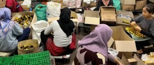 Rancang Piala Custom Event Spesial, dapatkan Piala Unik & Berkesan dari Makota Ratu Jaya