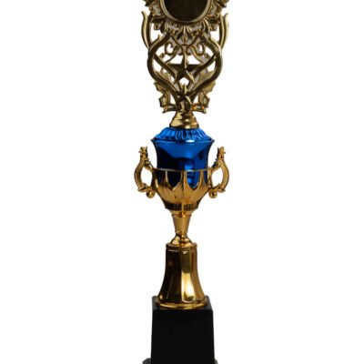 Image for choice number 1