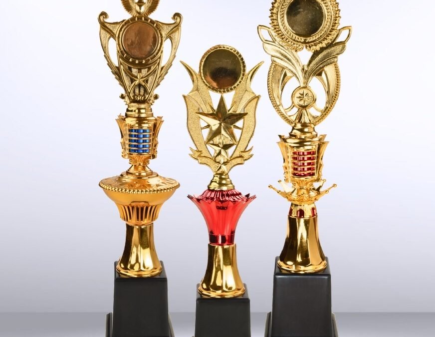 Piala Csr Award: Standar Kualitas Tinggi Untuk Citra Perusahaan